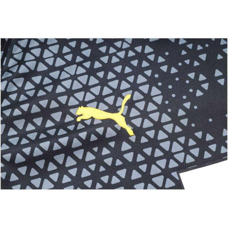 Mens Borussia Dortmund Short Training Suit Black 2023/24