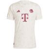 Mens Bayern Munich Third Authentic Jersey 2023/24 - Match