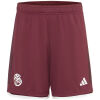 Mens Bayern Munich Third Shorts 2023/24