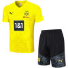 Mens Borussia Dortmund Short Training Suit Yellow 2023/24