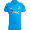 Mens Juventus Goalkeeper Blue Jersey 2023/24