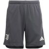 Mens Juventus Third Shorts 2023/24