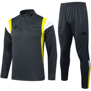 Mens Borussia Dortmund Training Suit Grey 2023/24