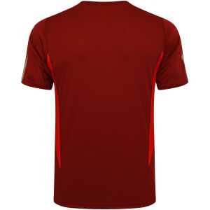 Mens Arsenal Short Training Jersey Wine 2023/24