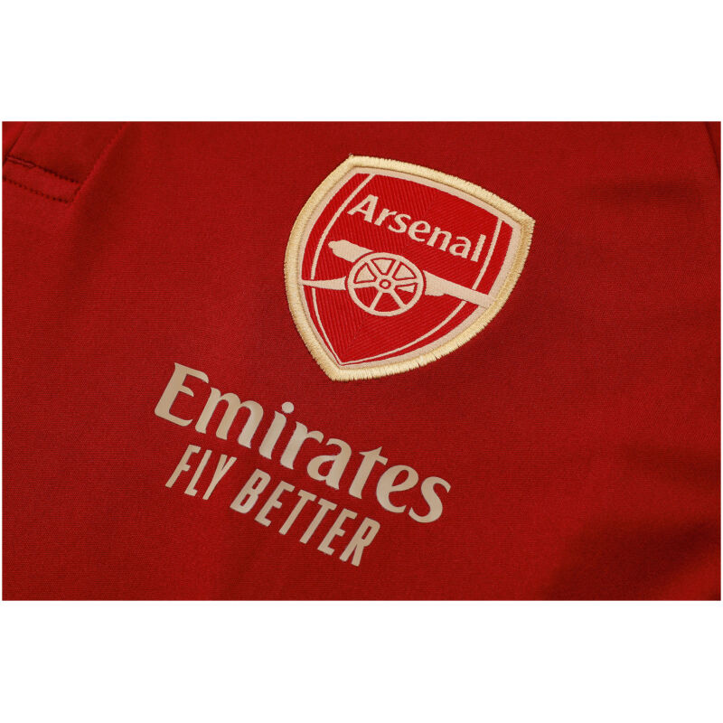 Mens Arsenal Polo Shirt Wine 2023/24