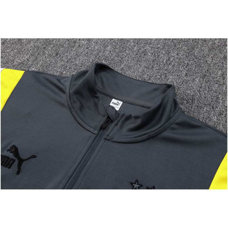 Mens Borussia Dortmund Training Suit Grey 2023/24