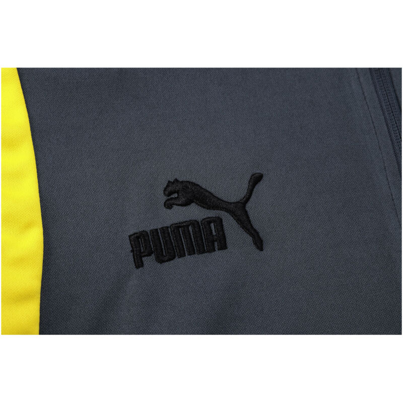 Mens Borussia Dortmund Training Suit Grey 2023/24