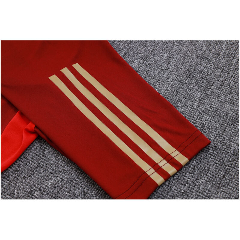 Mens Arsenal Short Training Jersey Wine 2023/24