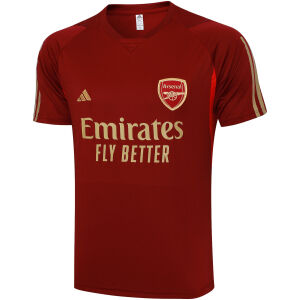 Mens Arsenal Short Training Jersey Wine 2023/24