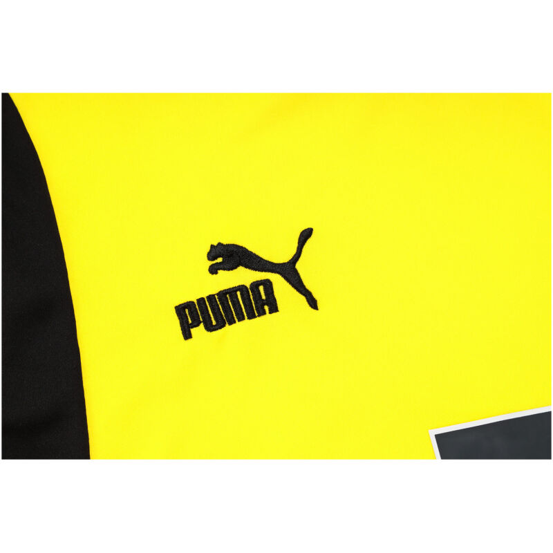 Herren Borussia Dortmund Kurzes Trainingstrikot Gelb 2023/24