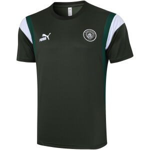 Mens Manchester City Short Training Jersey Dark Green 2023/24
