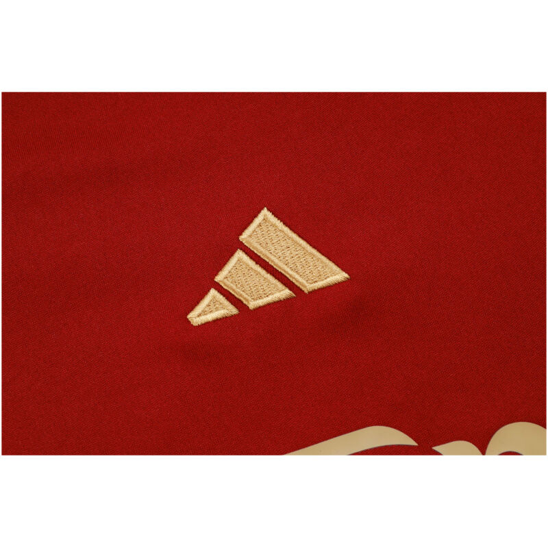 Mens Arsenal Short Training Jersey Wine 2023/24