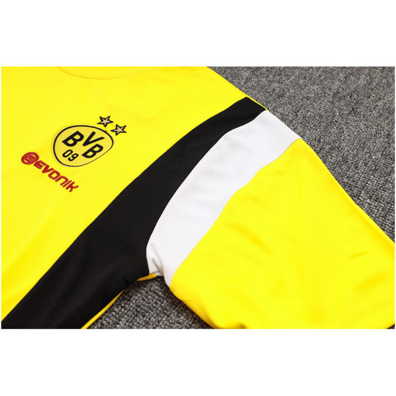 Herren Borussia Dortmund Kurzes Trainingstrikot Gelb 2023/24