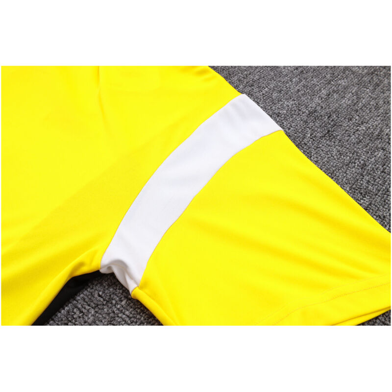Mens Borussia Dortmund Polo Shirt Yellow II 2023/24