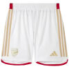 Mens Arsenal Home Authentic Shorts 2023/24 - Match