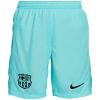 Mens Barcelona Third Shorts 2023/24
