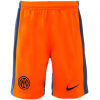 Mens Inter Milan Third Shorts 2023/24