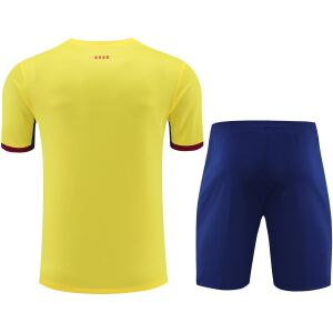 Mens Barcelona Short Training Suit Yellow 2023/24