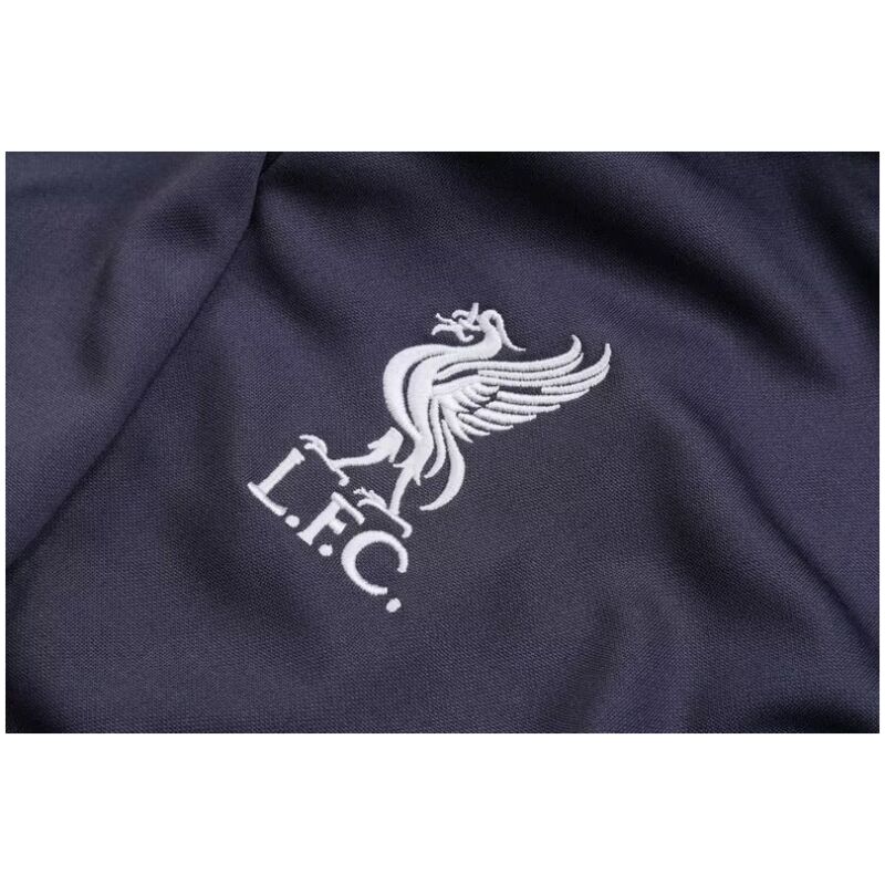 Männer Tottenham Hotspur Trainingsanzug Violett - Schwarz 2023/24