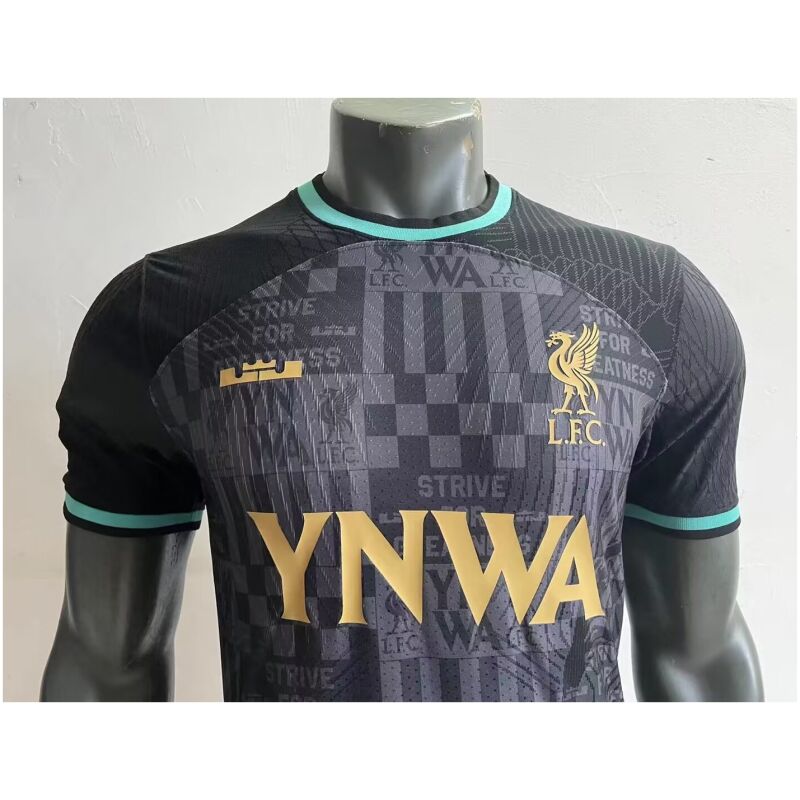 Mens Liverpool x Lebron James Authentic Jersey 2023/24 – Match