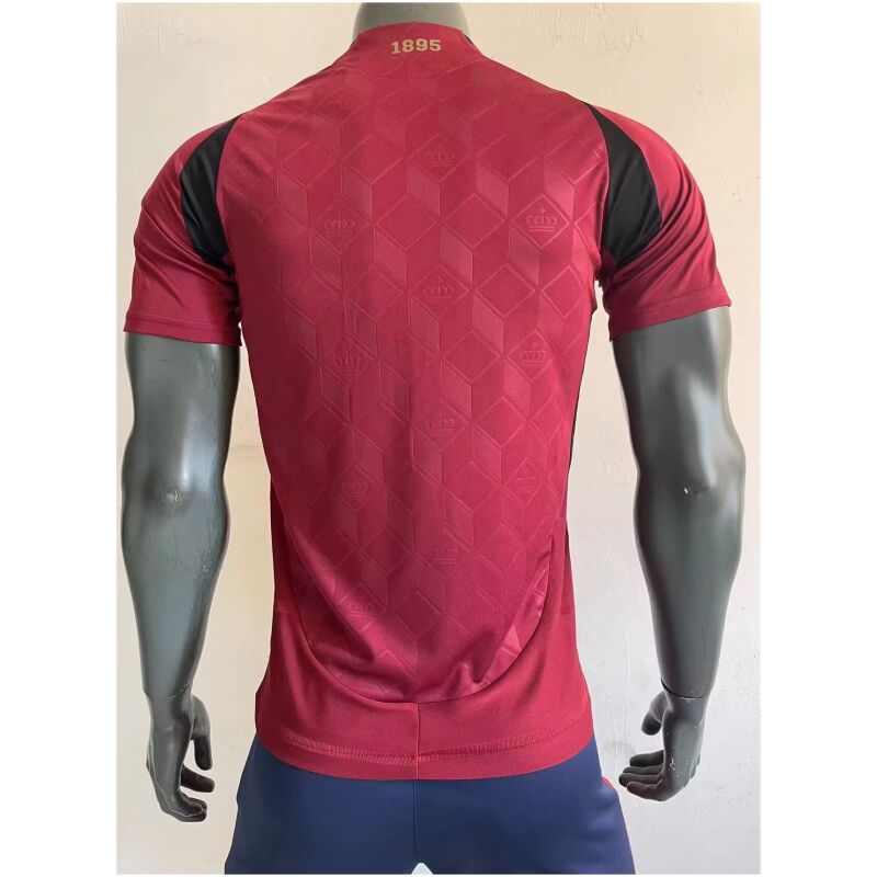 Mens Belgium Home Authentic Jersey 2024 – Match