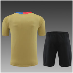 Kids Barcelona Short Training Suit Gold 2024/25