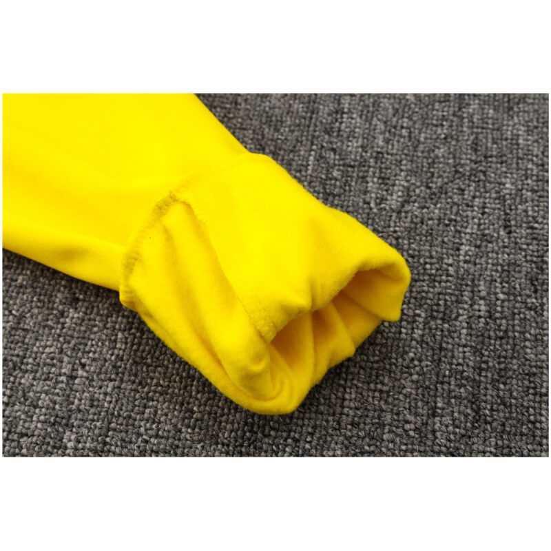 Mens Borussia Dortmund Hoodie Sweatshirt + Pants Training Suit Yellow 2023/24