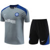 Mens Inter Milan Short Training Suit Grey 2024/25