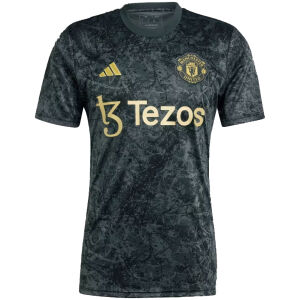 Mens Manchester United Stone Rose Pre-Match Jersey 2024