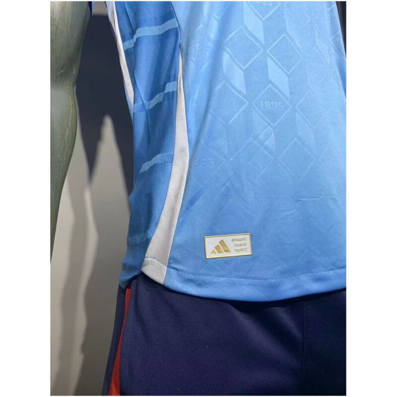 Mens Belgium Away Authentic Jersey 2024 – Match