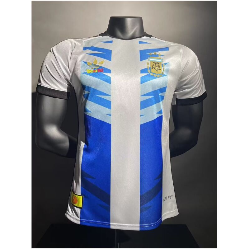 Mens Argentina Special Edition Authentic Jersey 2024 – Match