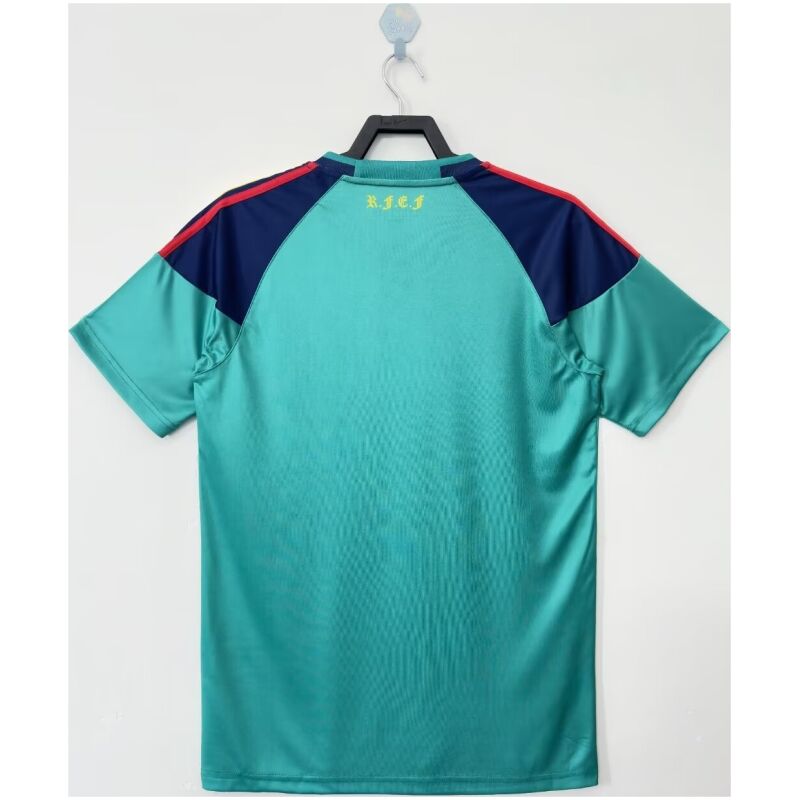 Mens Spain Retro Goalkeeper Green Jersey 2010