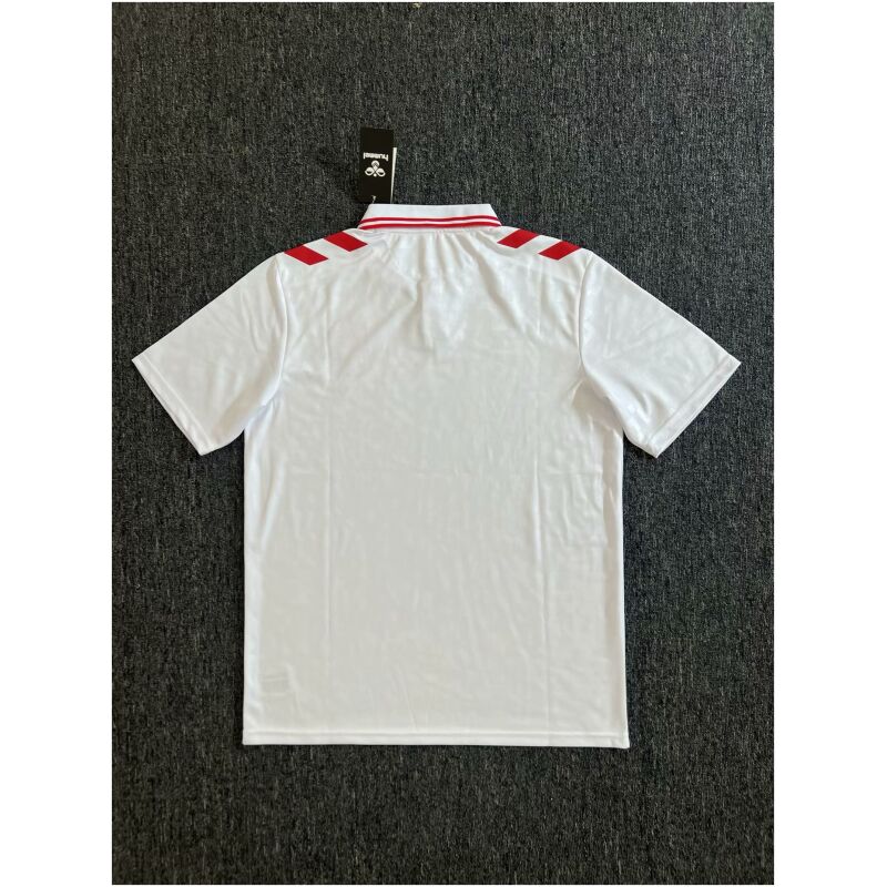 Mens Denmark Away Jersey 2024