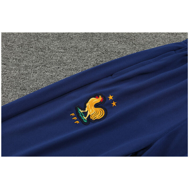 Mens France Training Suit Gold 2024