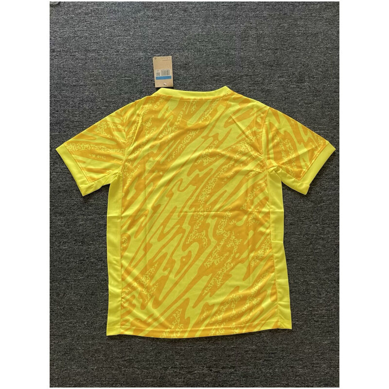 Mens France Goalkeeper Yellow Jersey 2024
