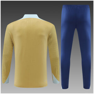 Kids France Training Suit Gold 2024