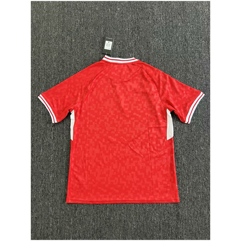 Mens Denmark Home Jersey 2024