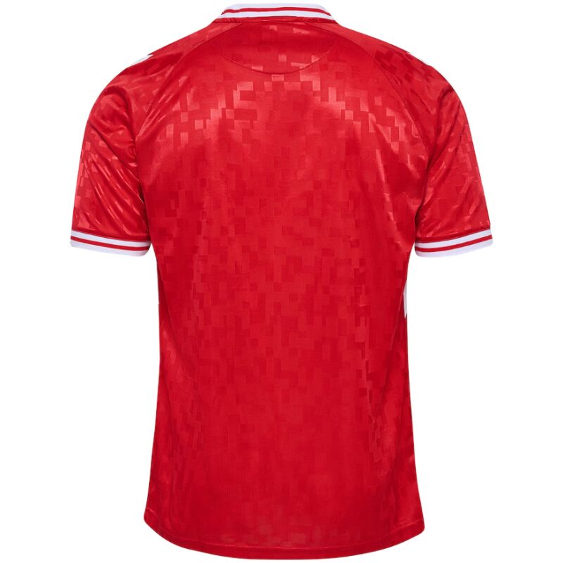 Mens Denmark Home Jersey 2024