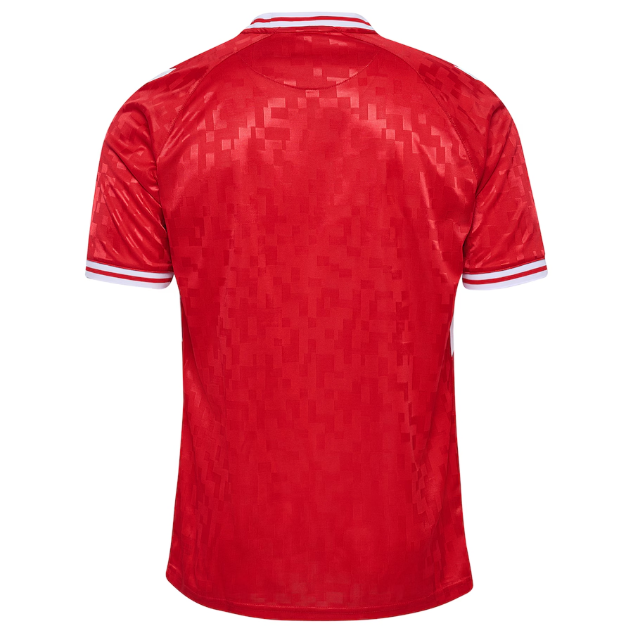 Mens Denmark Home Jersey 2024