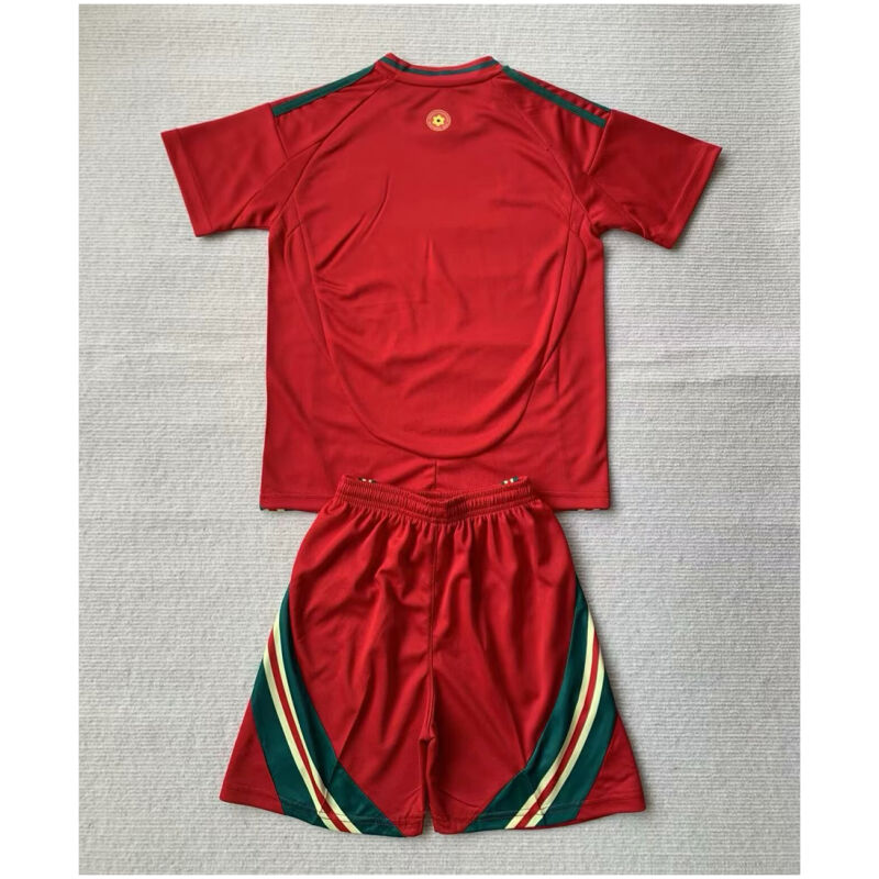 Kids Wales Home Jersey 2024