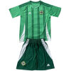 Kids Northern Ireland Home Jersey 2024