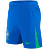 Mens Brazil Home Shorts 2024