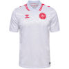Mens Denmark Away Jersey 2024