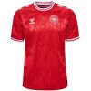 Mens Denmark Home Jersey 2024