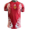Mens Manchester United Special Red Authentic Jersey 2024/25 - Match