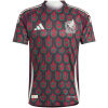 Mens Mexico Home Authentic Jersey 2024 - Match