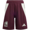 Mens Mexico Home Shorts 2024