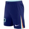 Mens Netherlands Away Shorts 2024