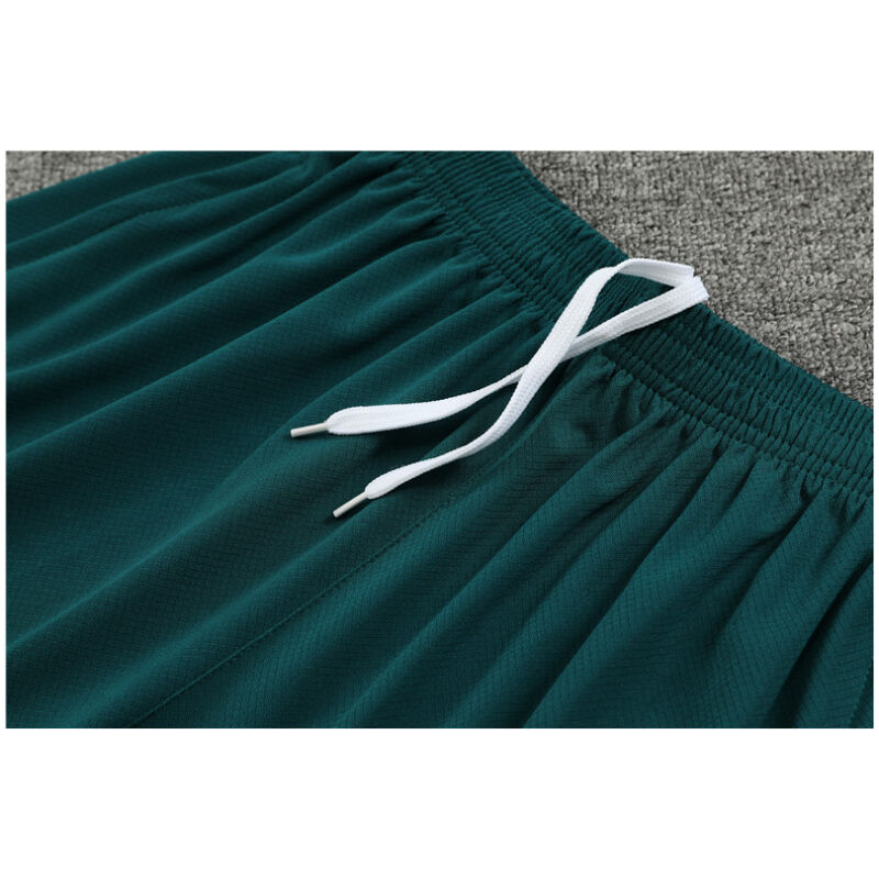 Mens Tottenham Hotspur Short Training Suit Green 2024/25