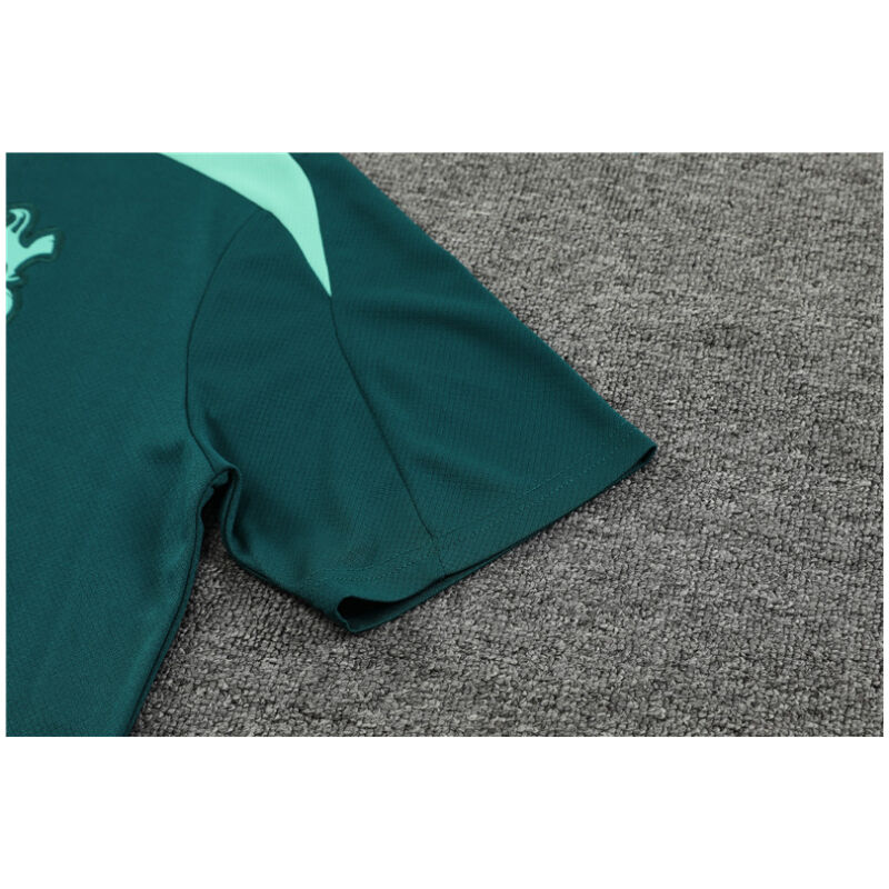 Mens Tottenham Hotspur Short Training Suit Green 2024/25